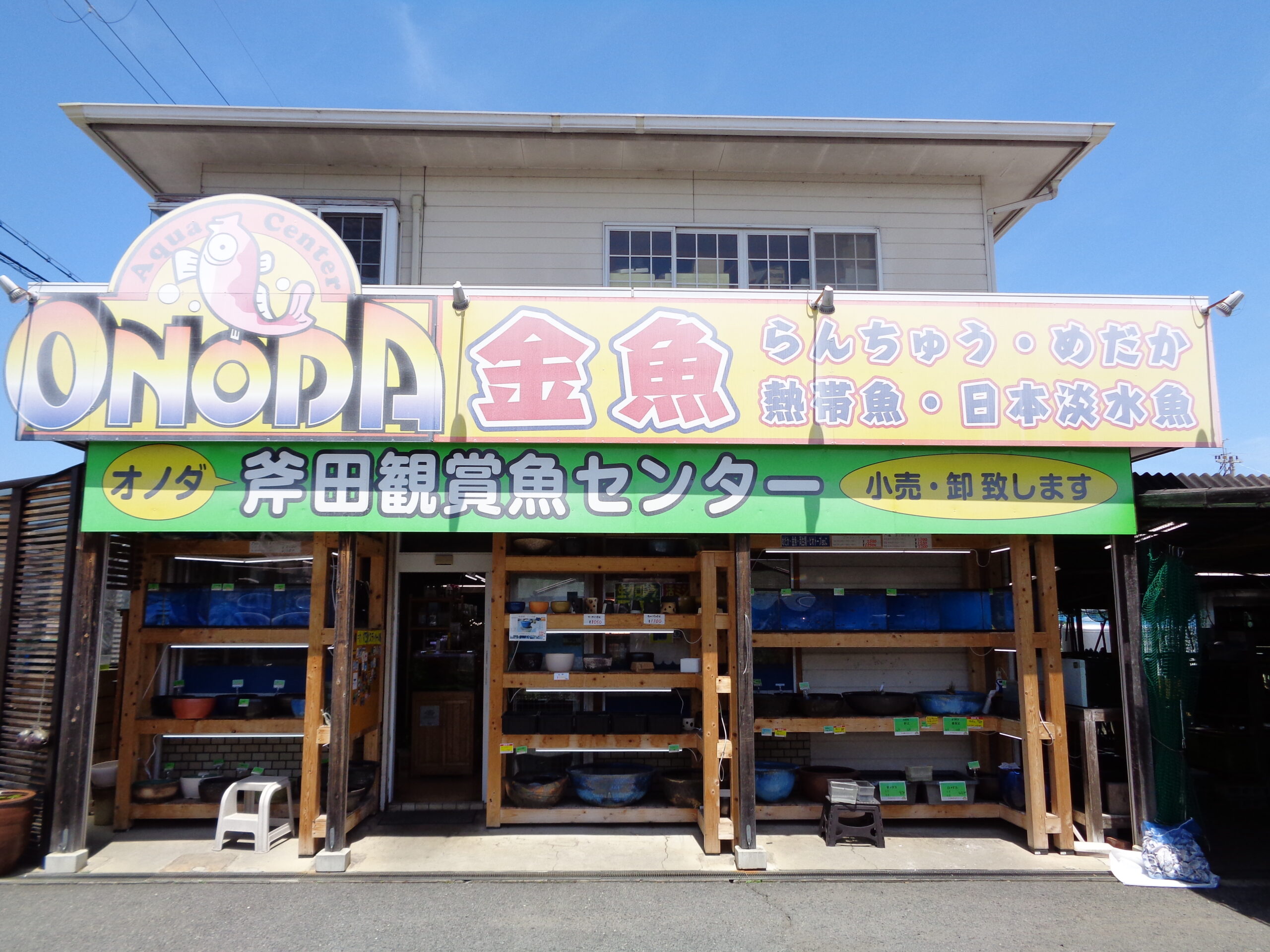 斧田観賞魚センター