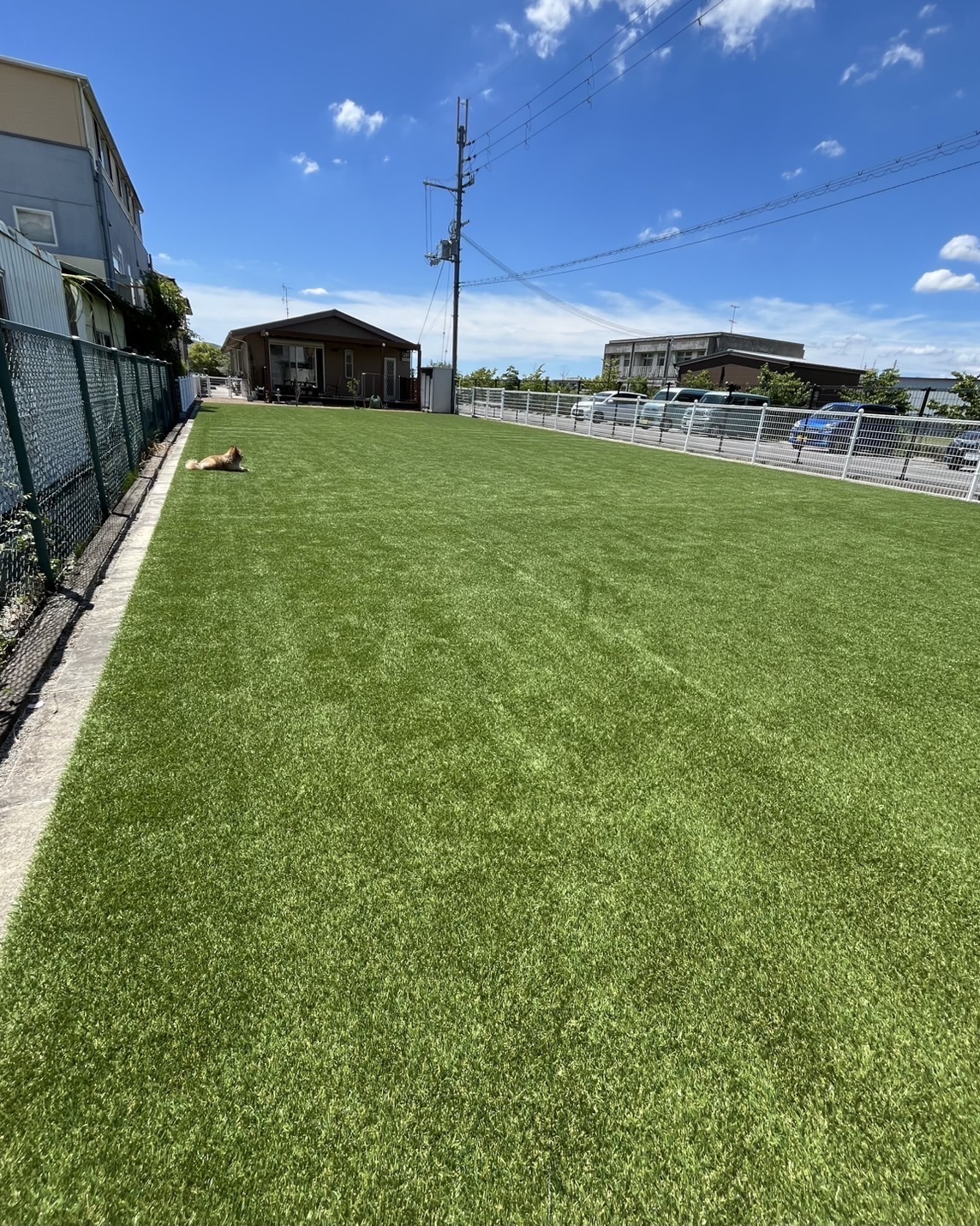 ぬ～Garden画像3
