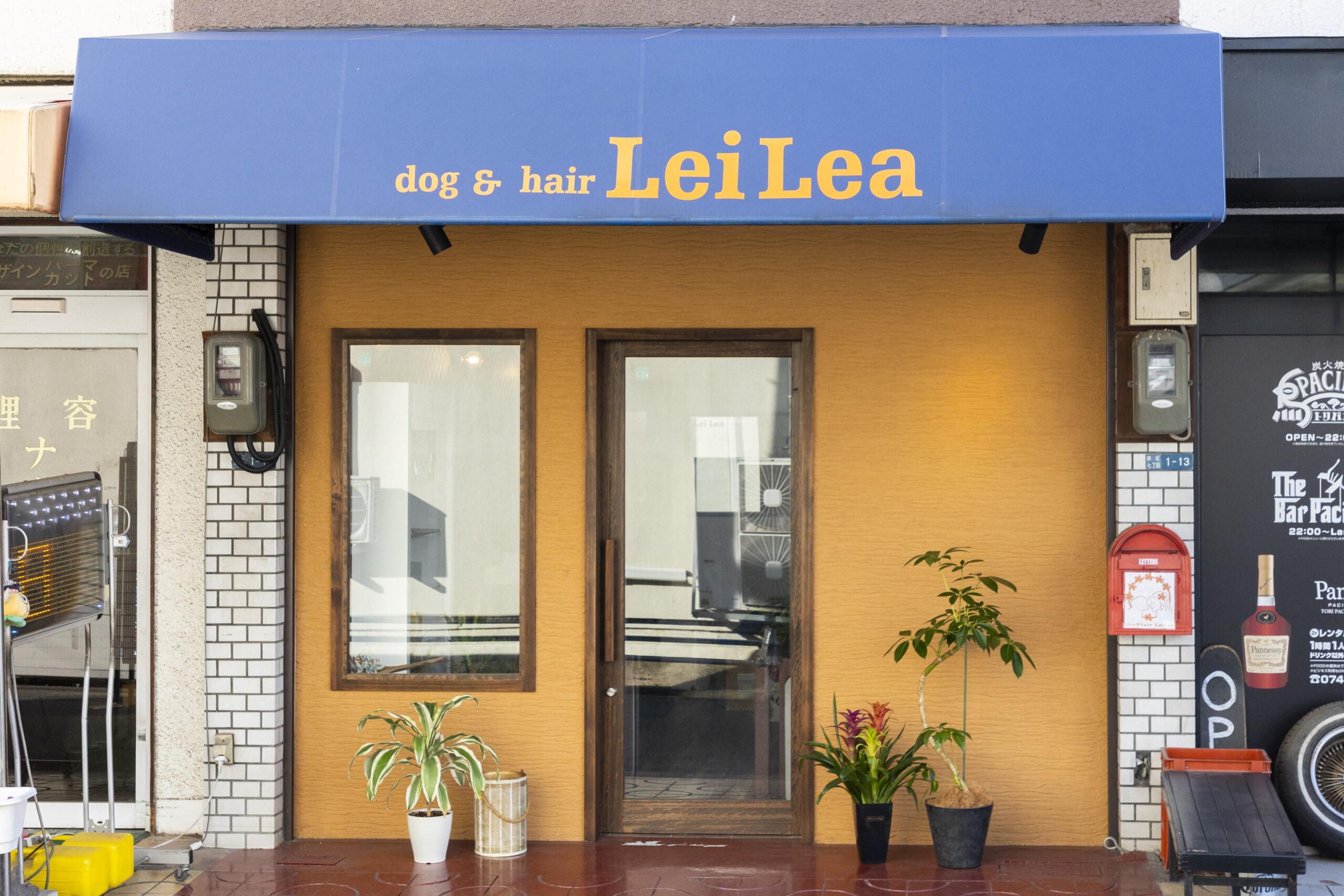 dog&hair LeiLea