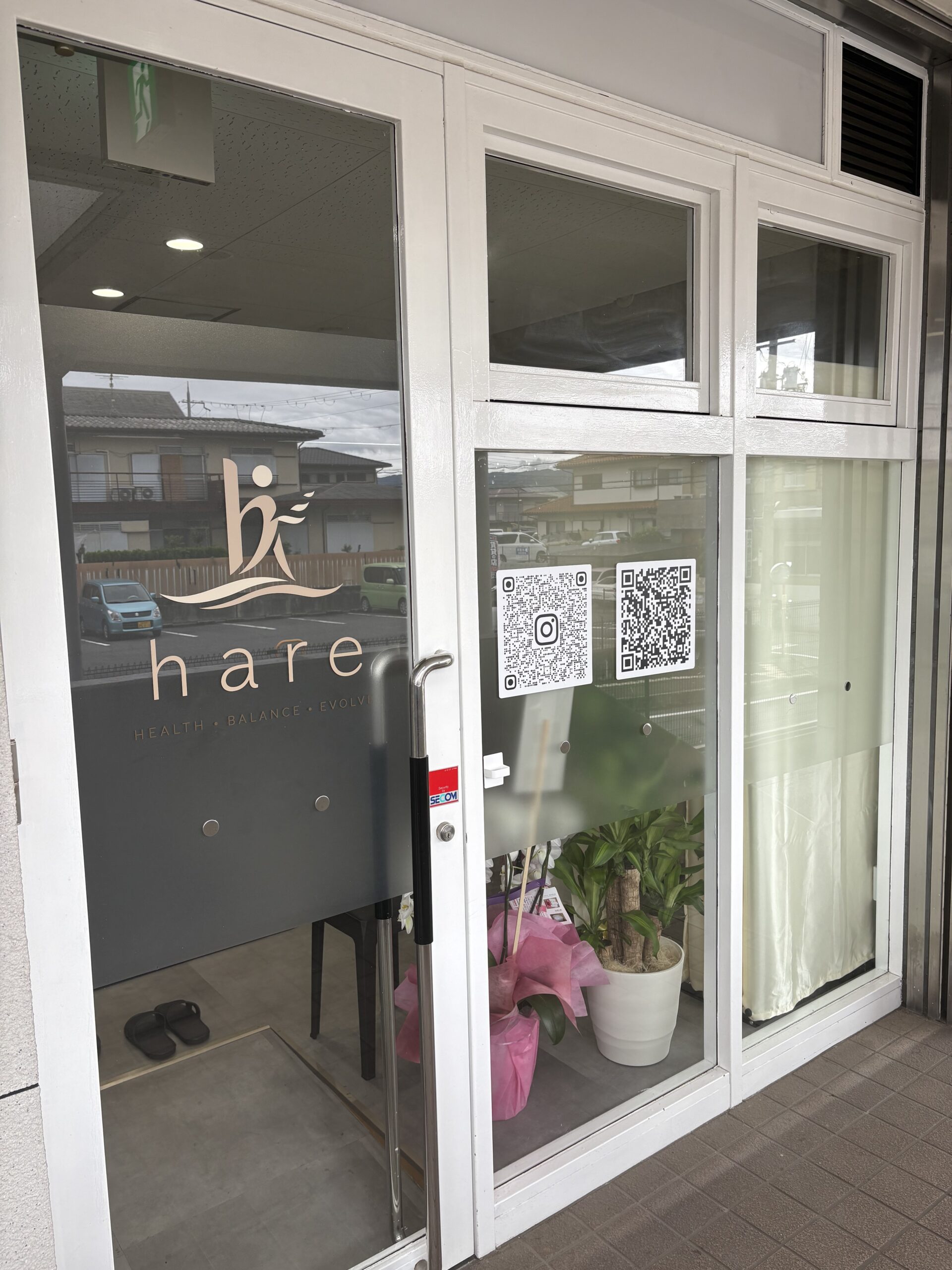 hare